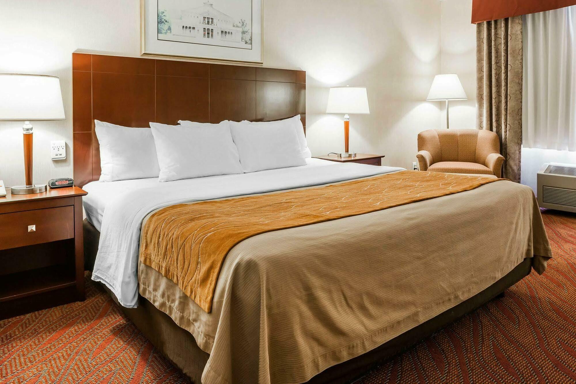 Comfort Inn & Suites Kelso - Longview Extérieur photo